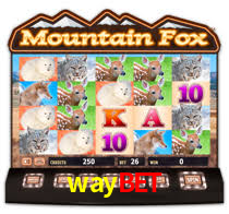 waybet